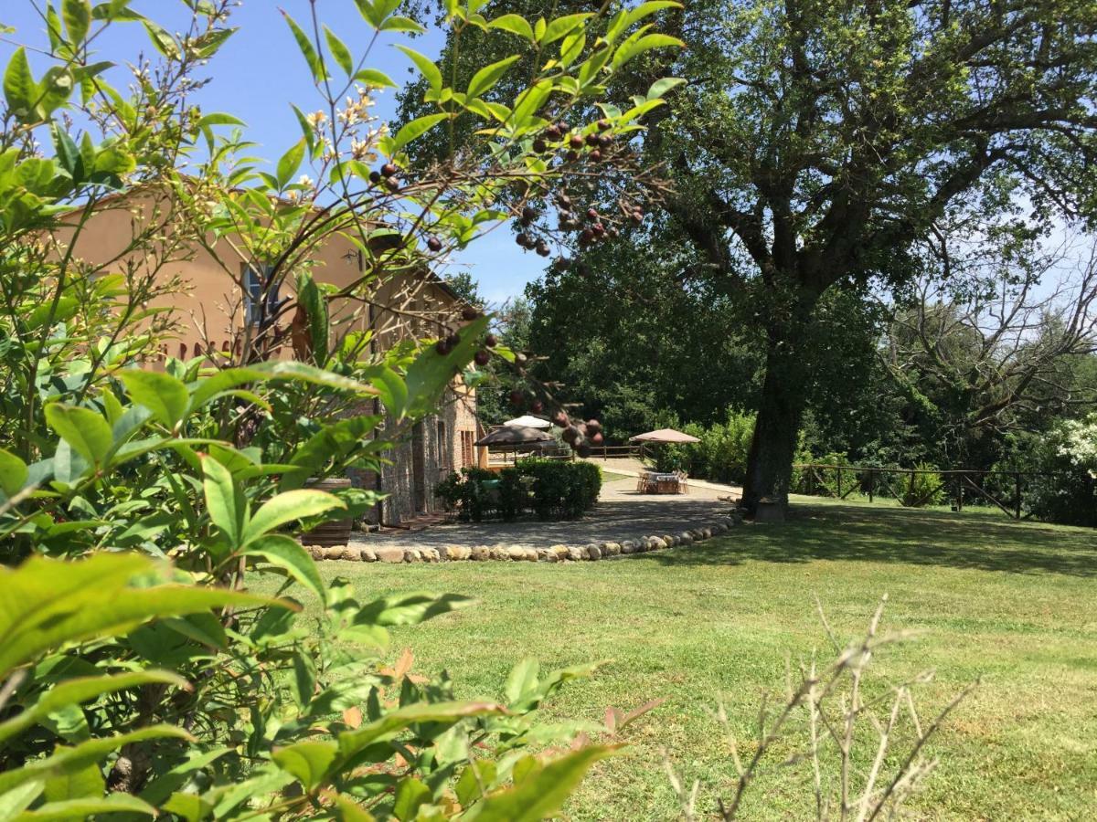 Agriturismo Pieve De Pitti Terricciola Exterior foto